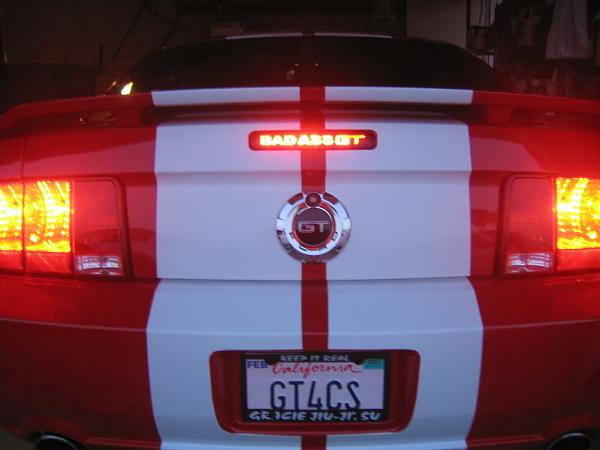 Ponies on The Run!-img_1315.jpg