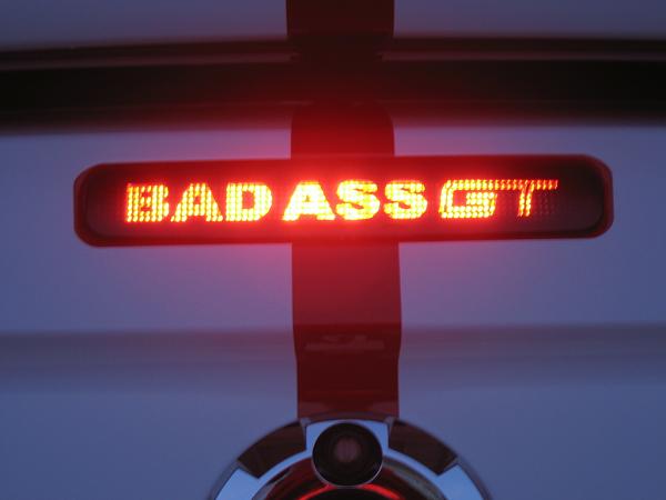 Ponies on The Run!-img_1316.jpg