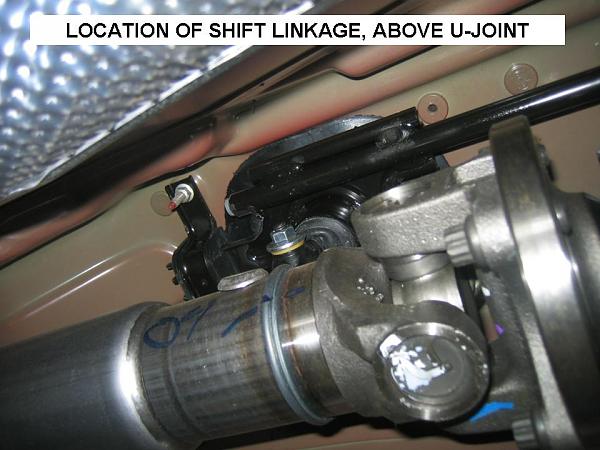 Ponies on The Run!-slide1.jpg