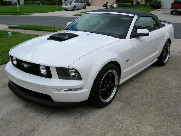 Ponies on The Run!-dscn3625.jpg