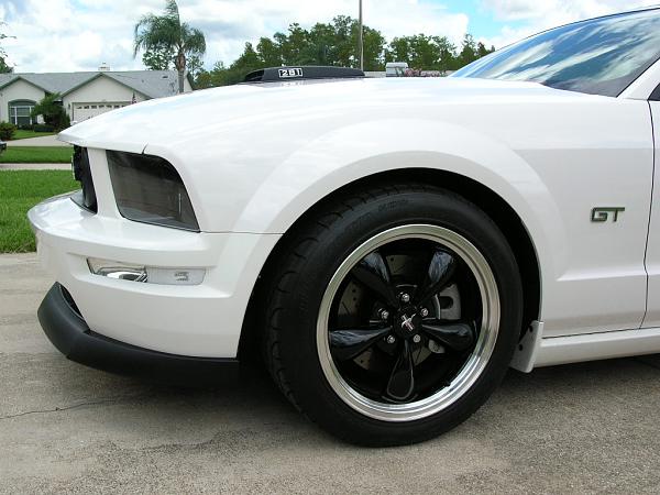 Ponies on The Run!-dscn3614.jpg