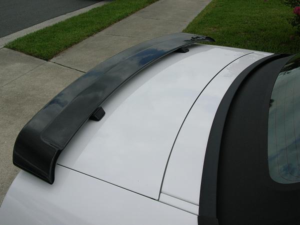 Ponies on The Run!-dscn3622.jpg