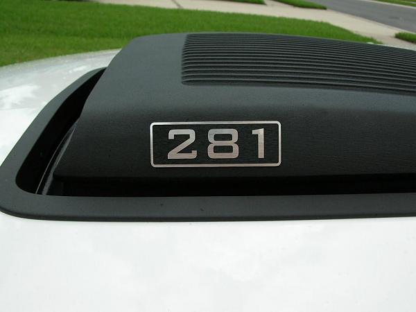 Ponies on The Run!-dscn3624.jpg