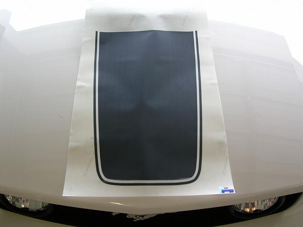 Ponies on The Run!-dscn3644.jpg