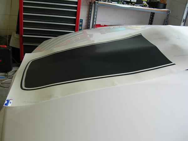 Ponies on The Run!-dscn3645.jpg