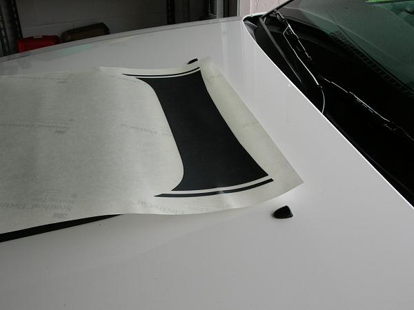 Ponies on The Run!-dscn3646.jpg