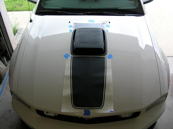 Ponies on The Run!-dscn3651.jpg