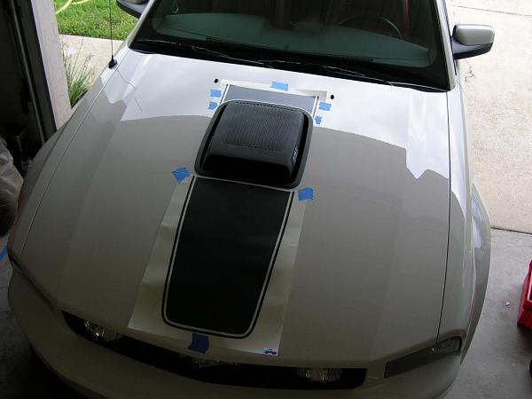 Ponies on The Run!-dscn3653.jpg