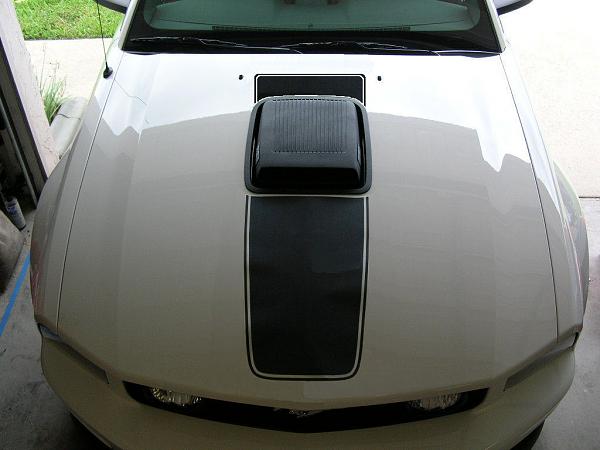 Ponies on The Run!-mach1-stripe-half.jpg