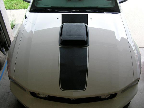 Ponies on The Run!-mach1-stripe-three-qtr.jpg