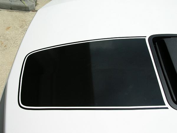 Ponies on The Run!-dscn3657.jpg