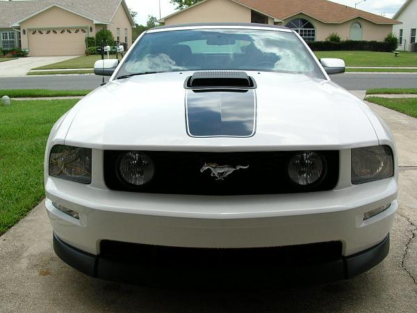 Ponies on The Run!-dscn3659.jpg