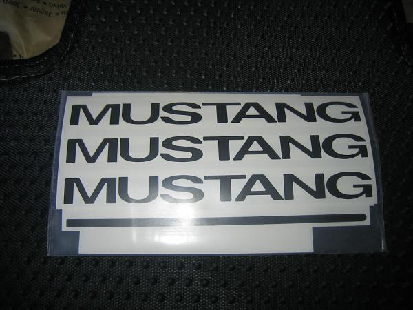 Ponies on The Run!-img_1400.jpg