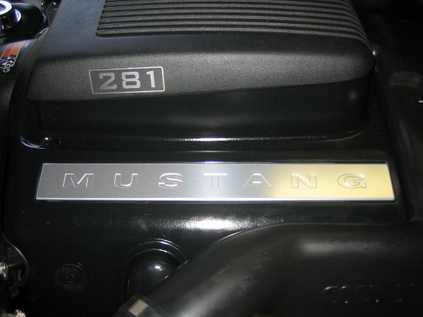 Ponies on The Run!-img_1401.jpg