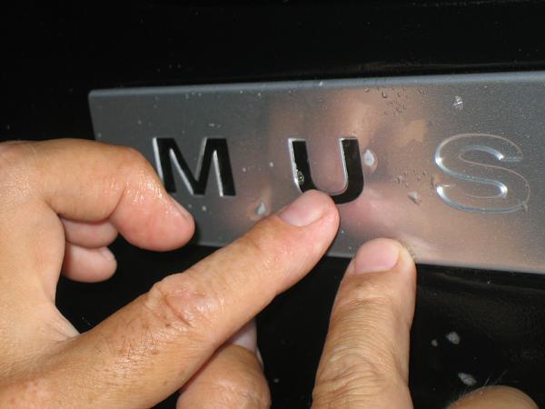 Ponies on The Run!-img_1422.jpg