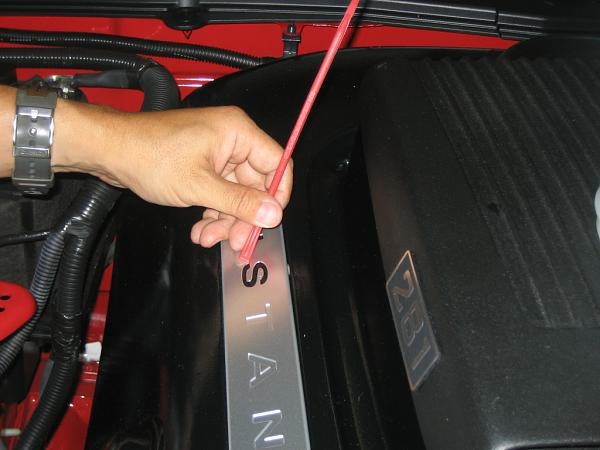 Ponies on The Run!-img_1427.jpg