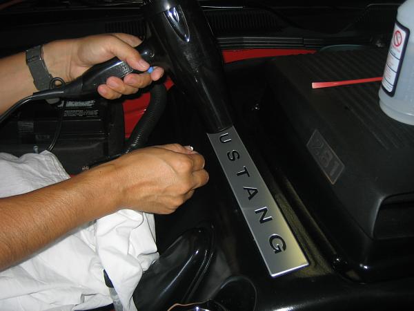 Ponies on The Run!-img_1431.jpg