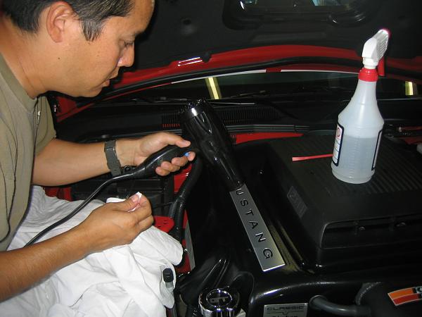 Ponies on The Run!-img_1432.jpg