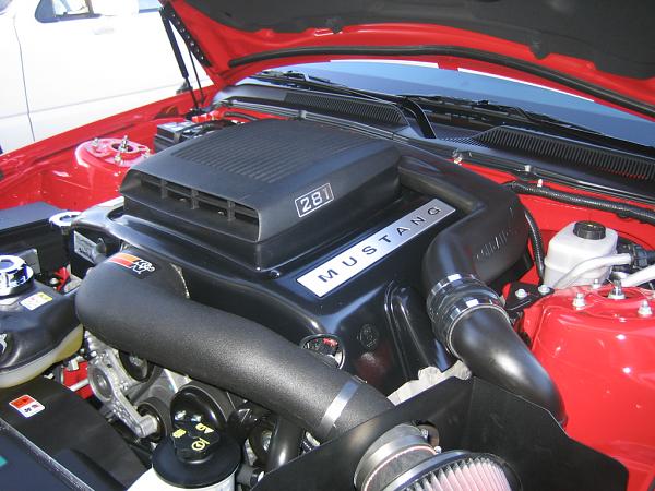 Ponies on The Run!-img_1439.jpg