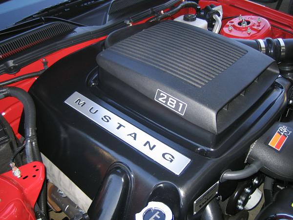 Ponies on The Run!-img_1440.jpg