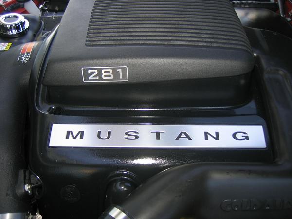 Ponies on The Run!-img_1443.jpg