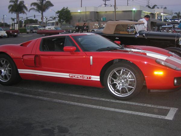 Ponies on The Run!-img_1444.jpg