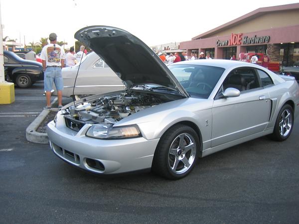 Ponies on The Run!-img_1452.jpg