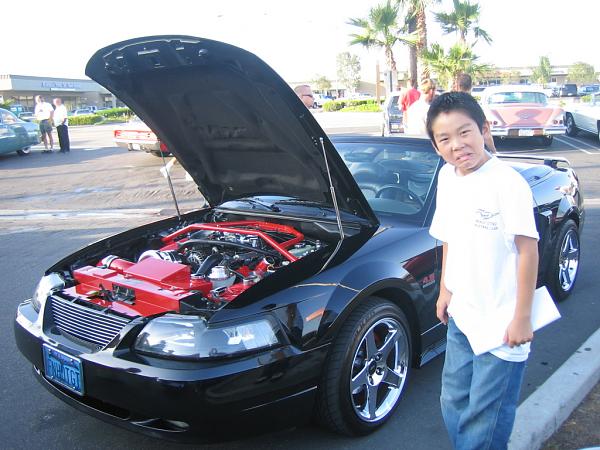 Ponies on The Run!-img_1469.jpg