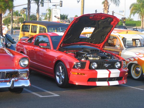 Ponies on The Run!-img_1466.jpg