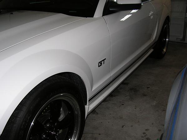 Ponies on The Run!-dscn3665.jpg