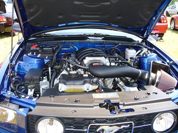 post best pic of your car-engine.jpg