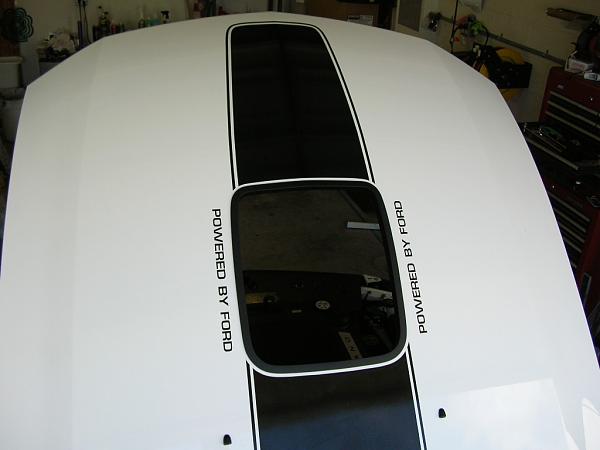 Ponies on The Run!-gap2.jpg