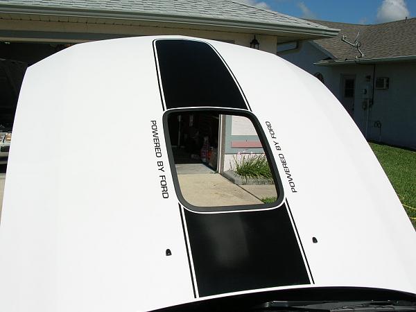 Ponies on The Run!-gap1.jpg