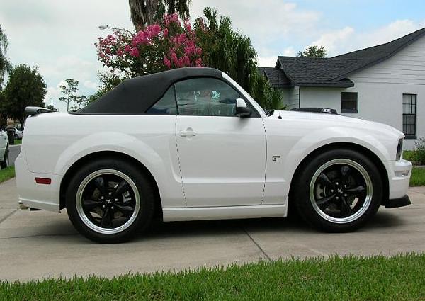 Ponies on The Run!-shrink.jpg