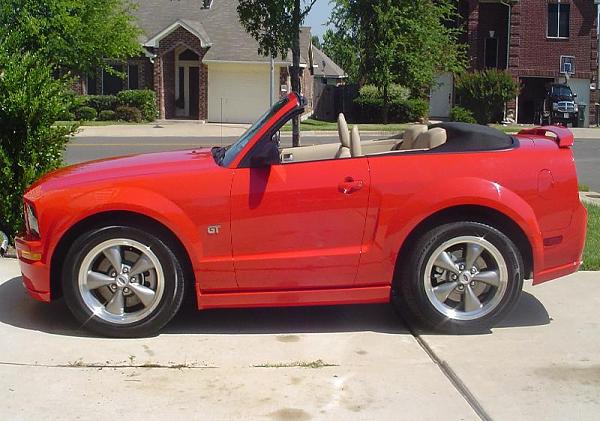 Ponies on The Run!-susan.jpg