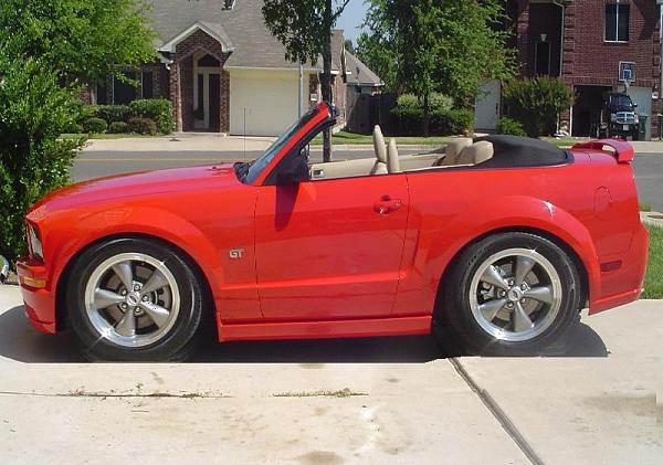 Ponies on The Run!-susanlowered2.jpg