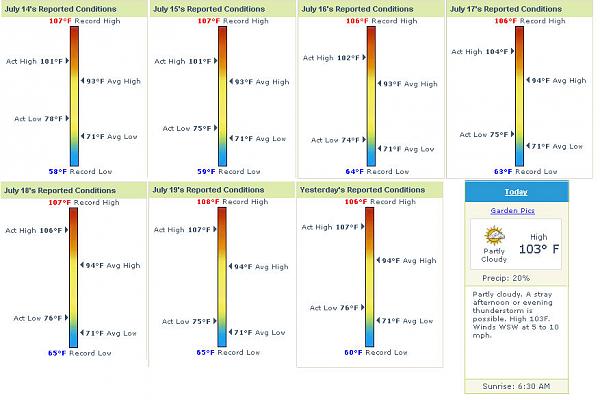 Ponies on The Run!-weeksweather.jpg