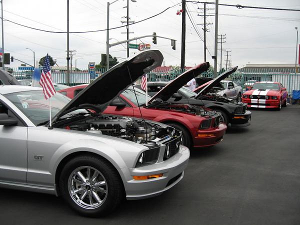 Ponies on The Run!-img_0122m.jpg