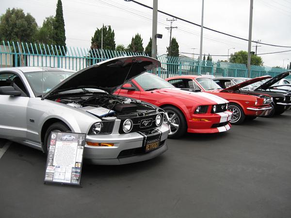 Ponies on The Run!-img_0127m.jpg