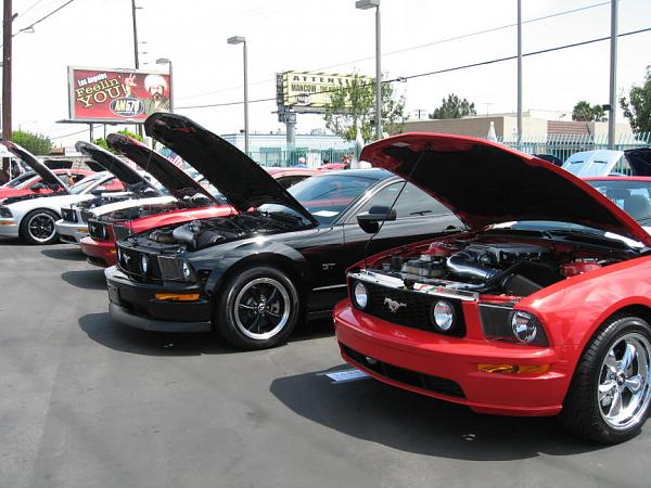 Ponies on The Run!-img_0155m.jpg