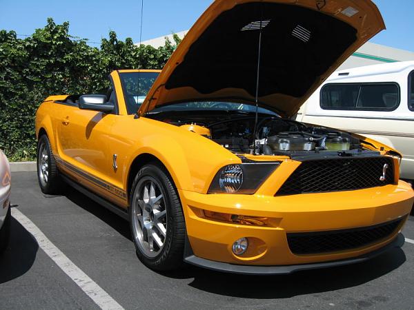 Ponies on The Run!-img_0174m.jpg