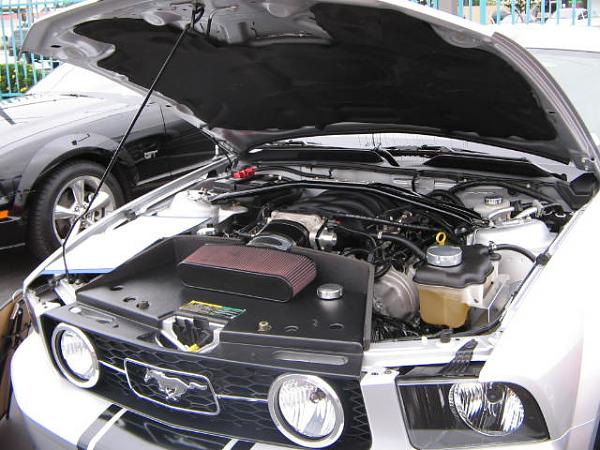 Ponies on The Run!-img_1509.jpg