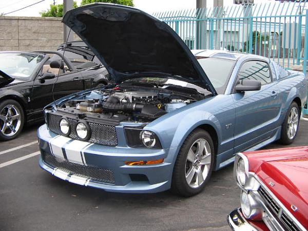 Ponies on The Run!-img_1614.jpg