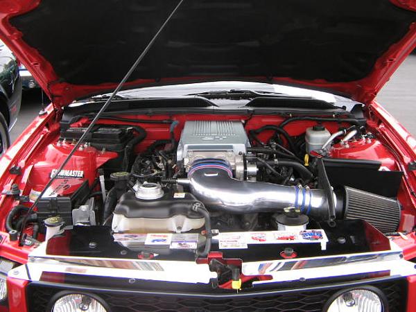 Ponies on The Run!-img_1635.jpg