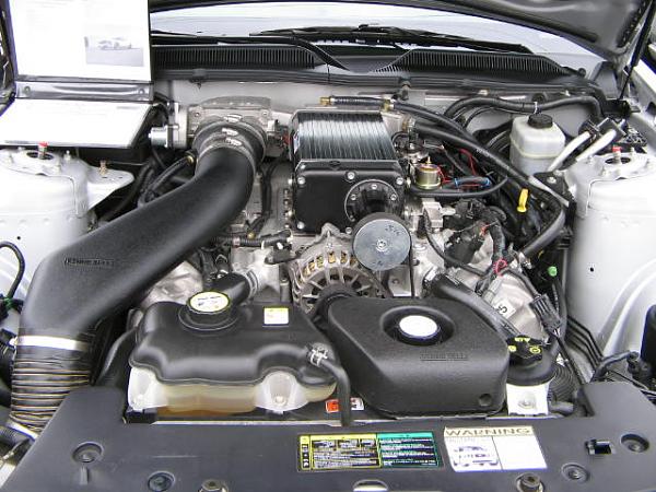 Ponies on The Run!-img_1642.jpg