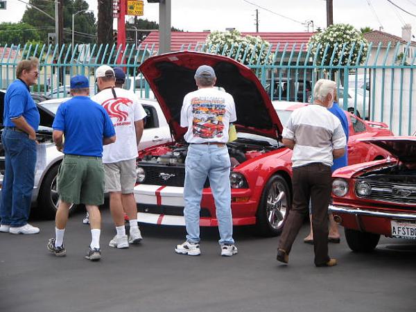 Ponies on The Run!-img_1678.jpg