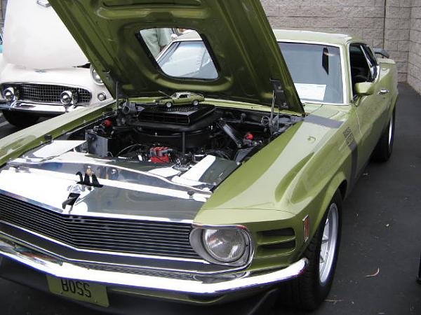 Ponies on The Run!-img_1684.jpg