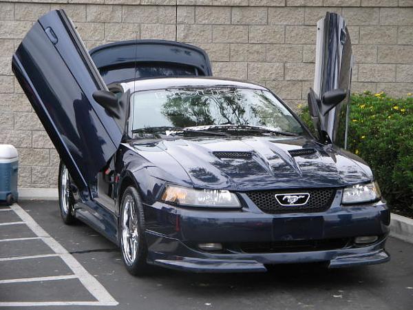 Ponies on The Run!-img_1525.jpg