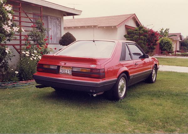 Ponies on The Run!-85-gt-006.jpg