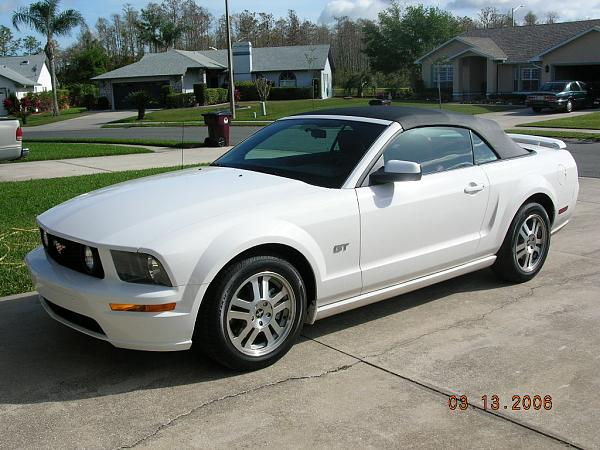 Ponies on The Run!-dscn2448.jpg